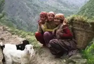 Turkey